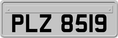 PLZ8519