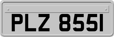 PLZ8551