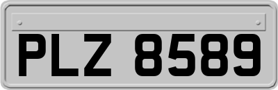 PLZ8589