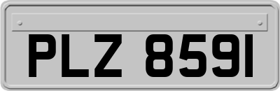 PLZ8591