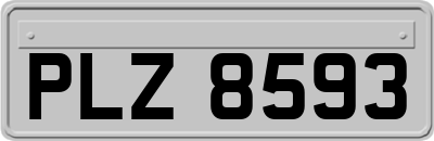 PLZ8593