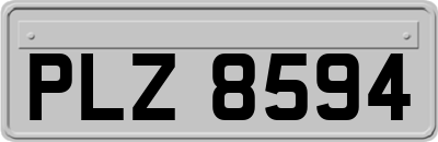 PLZ8594