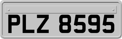 PLZ8595