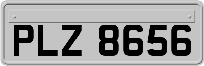 PLZ8656