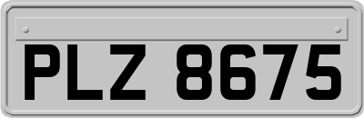 PLZ8675