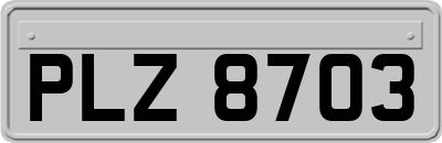 PLZ8703