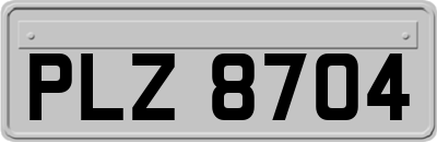 PLZ8704