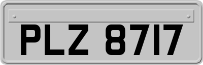 PLZ8717