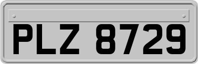 PLZ8729