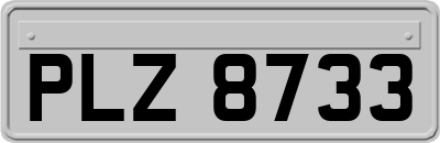 PLZ8733