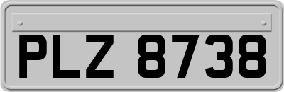 PLZ8738