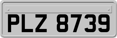 PLZ8739