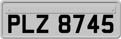 PLZ8745