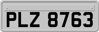 PLZ8763