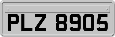 PLZ8905