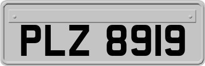 PLZ8919