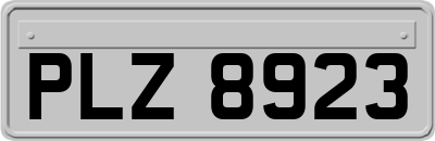 PLZ8923