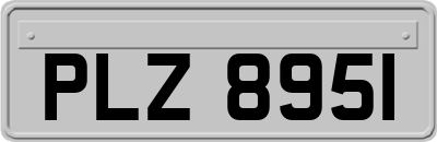 PLZ8951