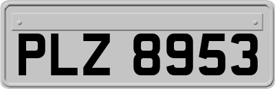 PLZ8953