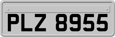 PLZ8955