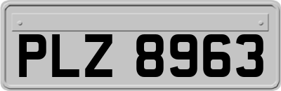 PLZ8963