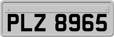 PLZ8965