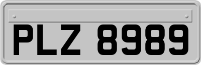 PLZ8989