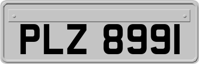 PLZ8991