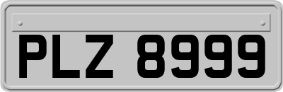 PLZ8999