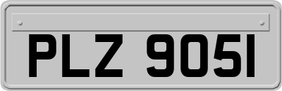 PLZ9051