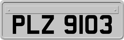 PLZ9103