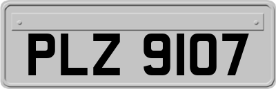 PLZ9107