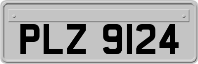 PLZ9124