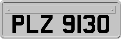 PLZ9130