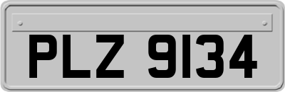 PLZ9134