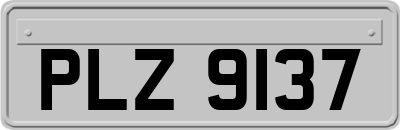 PLZ9137