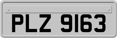 PLZ9163