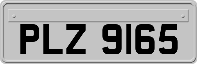 PLZ9165