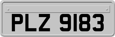 PLZ9183