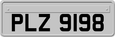 PLZ9198