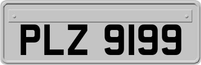 PLZ9199