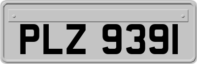 PLZ9391