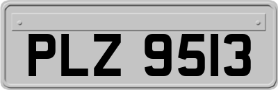 PLZ9513