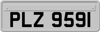 PLZ9591