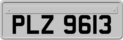 PLZ9613