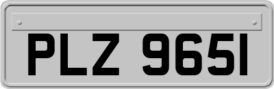 PLZ9651