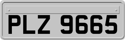 PLZ9665