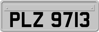 PLZ9713