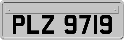 PLZ9719