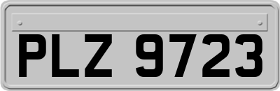 PLZ9723